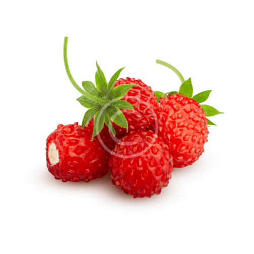 Sweet Raspberry